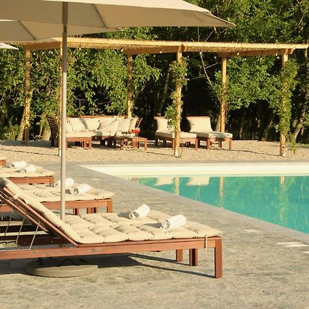 Villa La Mura - Luxury Pool By The Vineyard Costigliole d'Asti Exterior foto